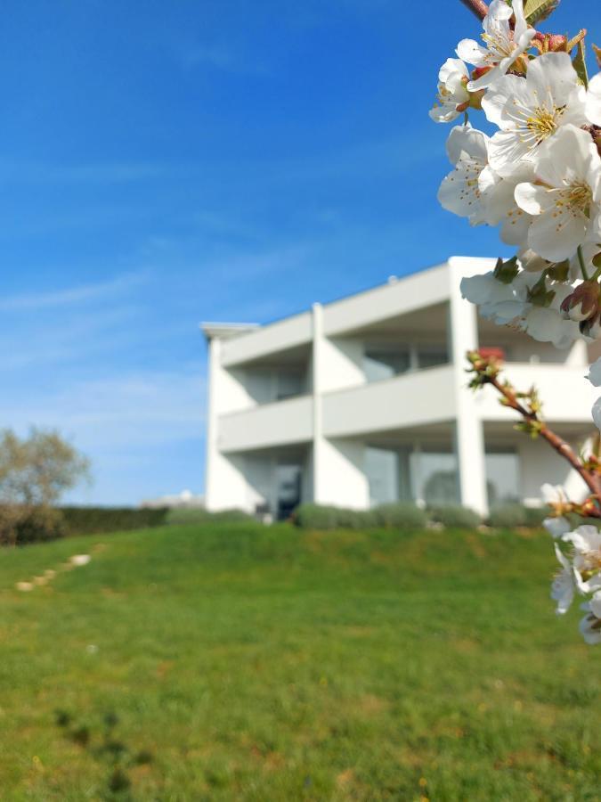 Fiorella