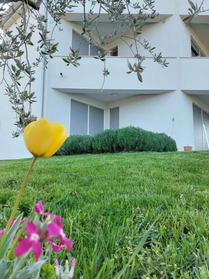 Apartment Fiorella
